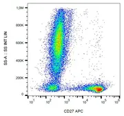Anti-CD27 antibody [LT27] (APC) used in Flow cytometry (FCM). GTX80055