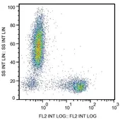 Anti-CD27 antibody [LT27] (PE) used in Flow cytometry (FACS). GTX80056
