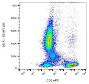 Anti-CD2 antibody [LT2] (APC) used in Flow cytometry (FACS). GTX80063