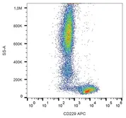 Anti-CD229 antibody [HLy9.25] (APC) used in Flow cytometry (FACS). GTX80097