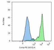 Anti-PSMA antibody [GCP-05] used in Flow cytometry (FACS). GTX80149