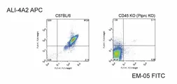 Anti-CD45 antibody [EM-05] (PE) used in Flow cytometry (FACS). GTX80169