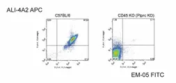 Anti-CD45 antibody [EM-05] (PE) used in Flow cytometry (FCM). GTX80169