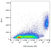 Anti-CD9 antibody [EM-04] (APC) used in Flow cytometry (FCM). GTX80175