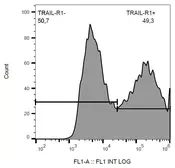 Anti-DR4 antibody [DR-4-02] (FITC) used in Flow cytometry (FACS). GTX80183