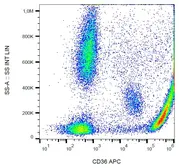 Anti-CD36 antibody [CB38 (NL07)] (APC) used in Flow cytometry (FCM). GTX80200-07