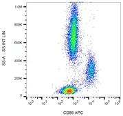 Anti-CD86 antibody [BU63] (APC) used in Flow cytometry (FACS). GTX80210