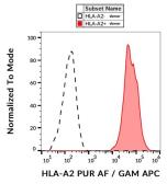 Anti-HLA-A2 antibody [BB7.2] (Azide Free) used in Flow cytometry (FACS). GTX80221-00