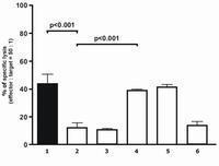 Anti-HLA-G antibody [87G] (Biotin) used in Western Blot (WB). GTX80253