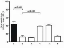 Anti-HLA-G antibody [87G] (FITC) used in Western Blot (WB). GTX80254