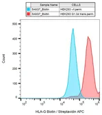Anti-HLA-G antibody [5A6G7] (Biotin) used in Flow cytometry (FACS). GTX80261