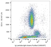 Mouse Anti-Human lambda light chain antibody [4C2]. GTX80278