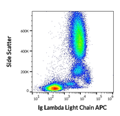 Mouse Anti-Human lambda light chain antibody [4C2] (APC). GTX80280