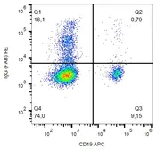 Mouse Anti-Human IgG (Fab) antibody [4A11] (PE). GTX80282