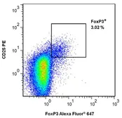 Anti-FOXP3 antibody [3G3] used in Flow cytometry (FACS). GTX80283