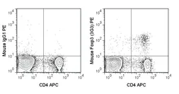 Anti-FOXP3 antibody [3G3] (PE) used in Flow cytometry (FACS). GTX80284