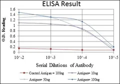 Anti-PSIP1 antibody [6E4] used in ELISA (ELISA). GTX80396