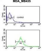 Anti-TFPT antibody, N-term used in Flow cytometry (FCM). GTX80425
