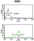 Anti-Sodium/Potassium ATPase beta 2 antibody, Internal used in Flow cytometry (FACS). GTX80450