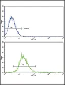 Anti-RECK antibody, Internal used in Flow cytometry (FCM). GTX80458
