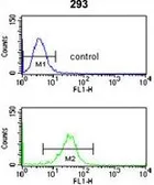Anti-Nup153 antibody, N-term used in Flow cytometry (FCM). GTX80552
