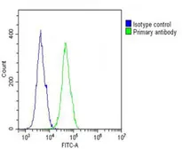 Anti-COL17A1 antibody, Internal used in Flow cytometry (FACS). GTX80563