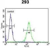 Anti-DZIP1 antibody, Internal used in Flow cytometry (FACS). GTX80938