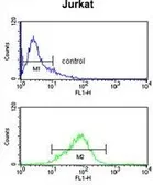 Anti-CASD1 antibody, N-term used in Flow cytometry (FCM). GTX80980