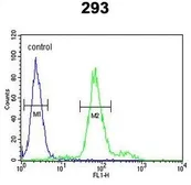Anti-KLF16 antibody, Internal used in Flow cytometry (FCM). GTX80982