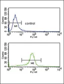 Anti-CACNA2D1 antibody, N-term used in Flow cytometry (FCM). GTX81084