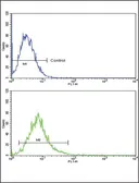 Anti-ATF6 antibody, Internal used in Flow cytometry (FCM). GTX81096