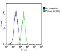 Anti-Interferon beta antibody, N-term used in Flow cytometry (FACS). GTX81187