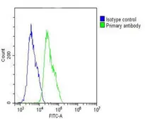 Anti-IL1 beta antibody, Internal used in Flow cytometry (FACS). GTX81192