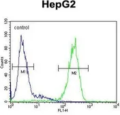 Anti-HSP47 antibody, C-term used in Flow cytometry (FCM). GTX81503