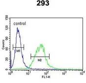 Anti-BCOR antibody, Internal used in Flow cytometry (FACS). GTX81506
