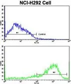 Anti-Interferon gamma Receptor 2 antibody, C-term used in Flow cytometry (FCM). GTX81601