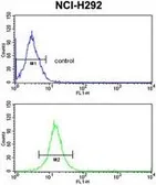 Anti-RGP1 antibody, C-term used in Flow cytometry (FCM). GTX81626