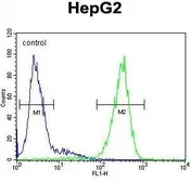Anti-FUCA1 antibody, Internal used in Flow cytometry (FCM). GTX81717