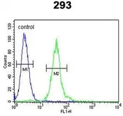 Anti-M-CSF antibody, Internal used in Flow cytometry (FACS). GTX81735