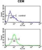 Anti-FUT1 antibody, Internal used in Flow cytometry (FCM). GTX81834