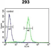 Anti-SUV4-20H2 antibody, Internal used in Flow cytometry (FCM). GTX81881