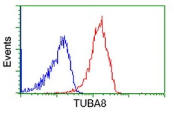 Anti-alpha Tubulin 8 antibody [2C2] used in Flow cytometry (FCM). GTX83461