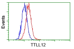 Anti-TTLL12 antibody [12B7] used in Flow cytometry (FACS). GTX83471