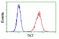 Anti-Transketolase antibody [5H3] used in Flow cytometry (FACS). GTX83510