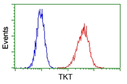 Anti-Transketolase antibody [5H3] used in Flow cytometry (FCM). GTX83510
