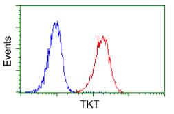 Anti-Transketolase antibody [5H3] used in Flow cytometry (FACS). GTX83510