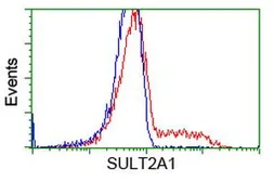 Anti-SULT2A1 antibody [3G4] used in Flow cytometry (FACS). GTX83536