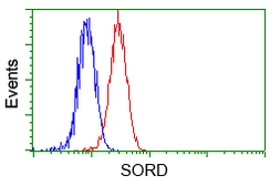 Anti-Sorbitol Dehydrogenase antibody [9E7] used in Flow cytometry (FACS). GTX83589