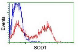 Anti-SOD1 antibody [8B10] used in Flow cytometry (FACS). GTX83592