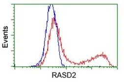 Anti-RASD2 antibody [1A12] used in Flow cytometry (FACS). GTX83724